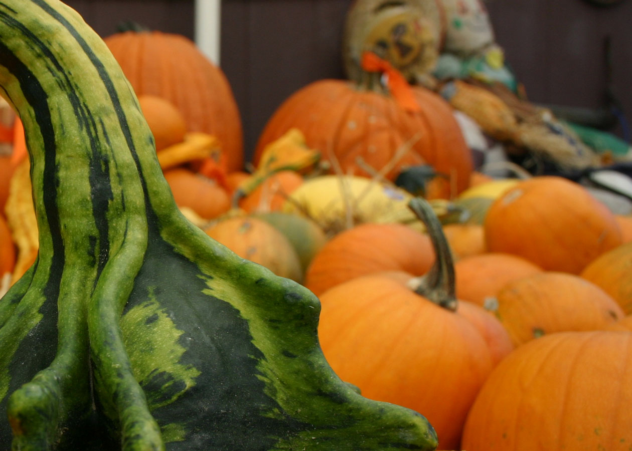 Fotografía por rdyamiphoto para DesignCrowd (Community Contests) | Diseño #9073816