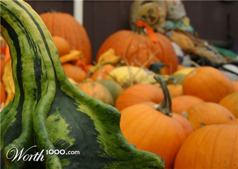 Photography by rdyamiphoto