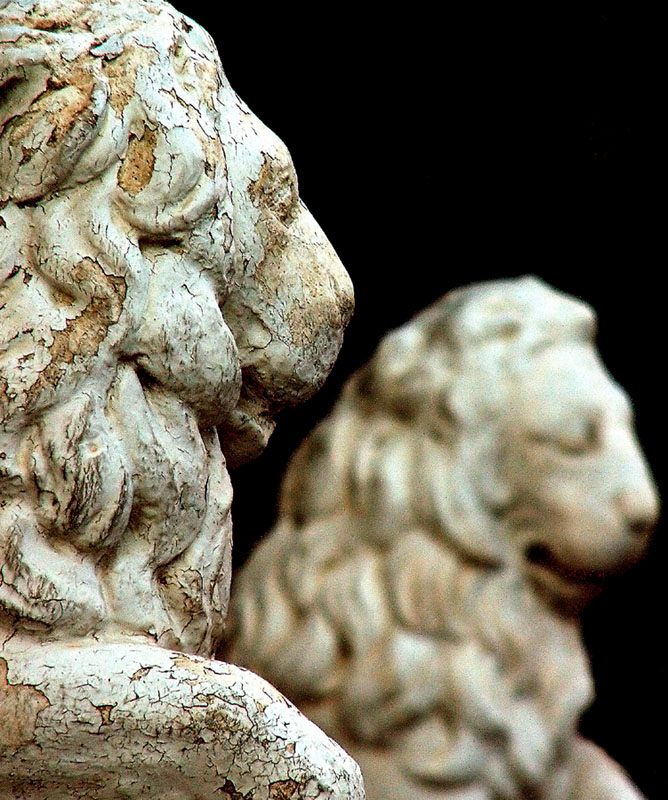 Photography by Ronbrandt for DesignCrowd (Community Contests) | Design #9073769