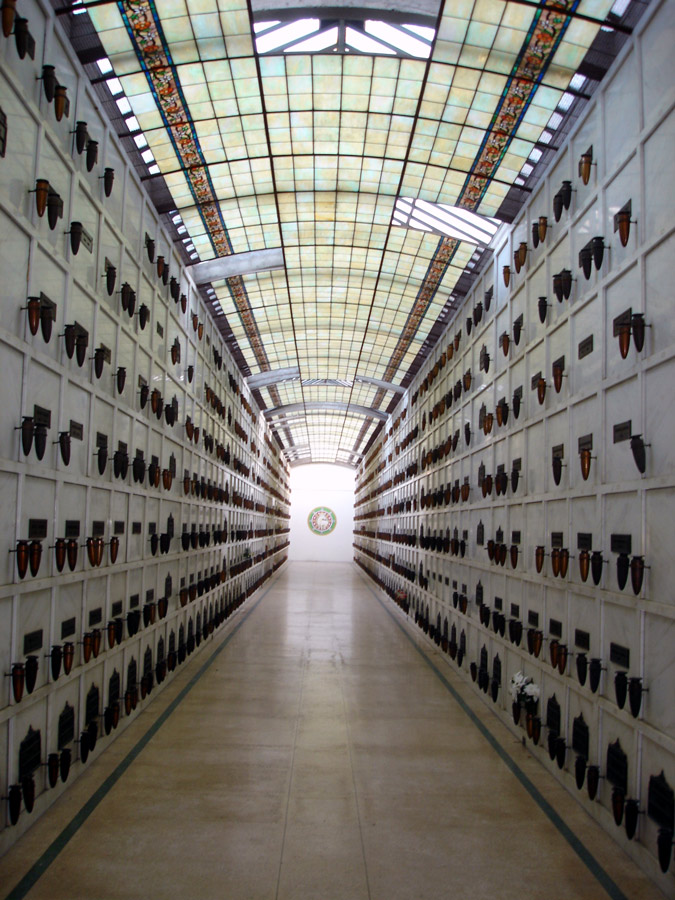 Photography by stayceejae for DesignCrowd (Community Contests) | Design #9070568