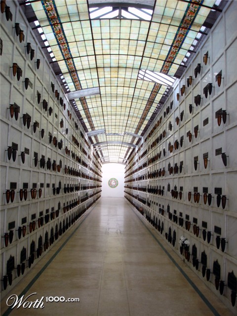 Photography by stayceejae