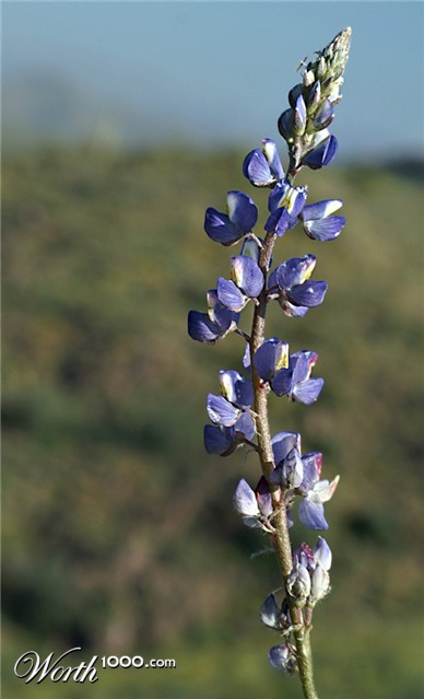 Photography by cakeladybarb