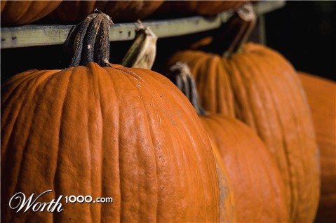 Photography by josephzl