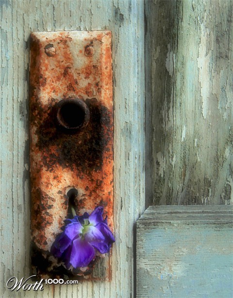 Photography by koalachimbo