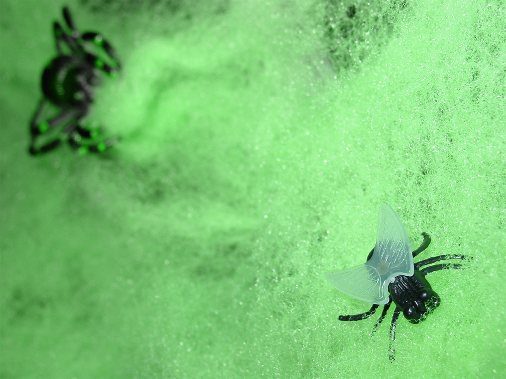 Photography by mysterio for DesignCrowd (Community Contests) | Design #9073751