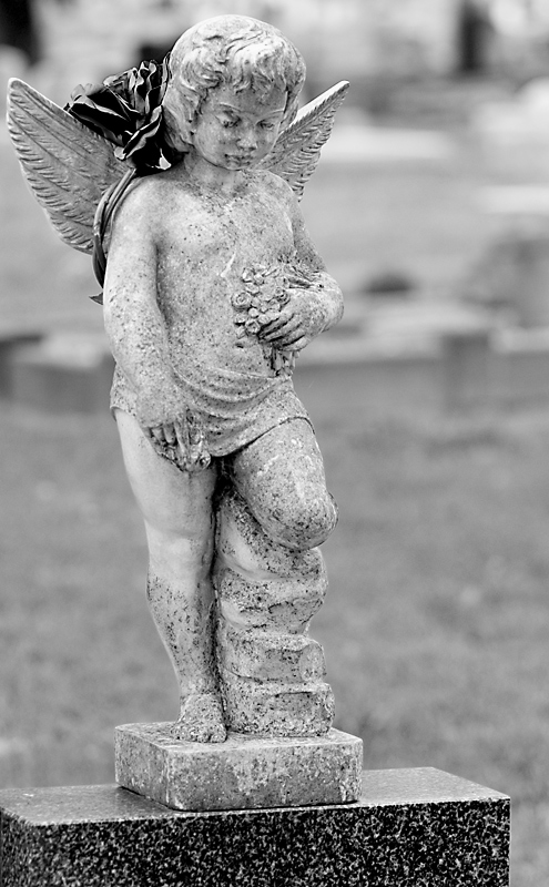 Fotografie von stueysnail für DesignCrowd (Community Contests) | Design #9070571