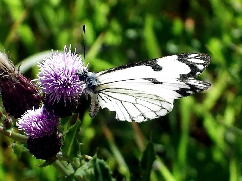 Photography by mmc9496 for DesignCrowd (Community Contests) | Design #9073738