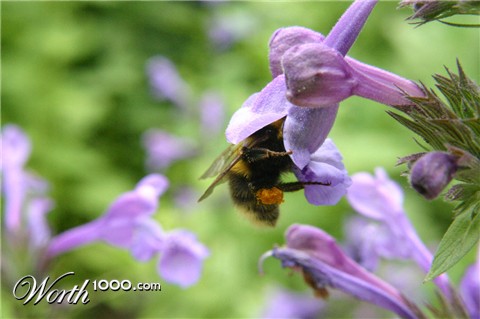 Photography by DoggySpew