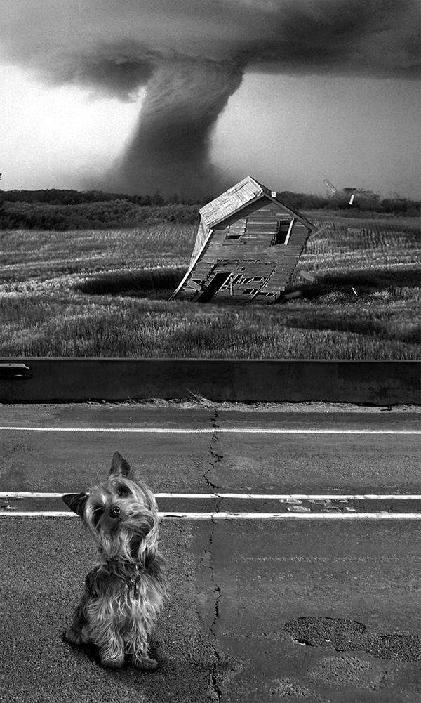 Photoshop Design by exorcist for DesignCrowd (Community Contests) | Design #9070720