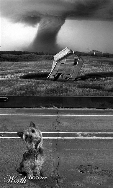 Photoshop Design by exorcist