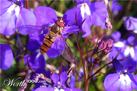 Photography by Marthese