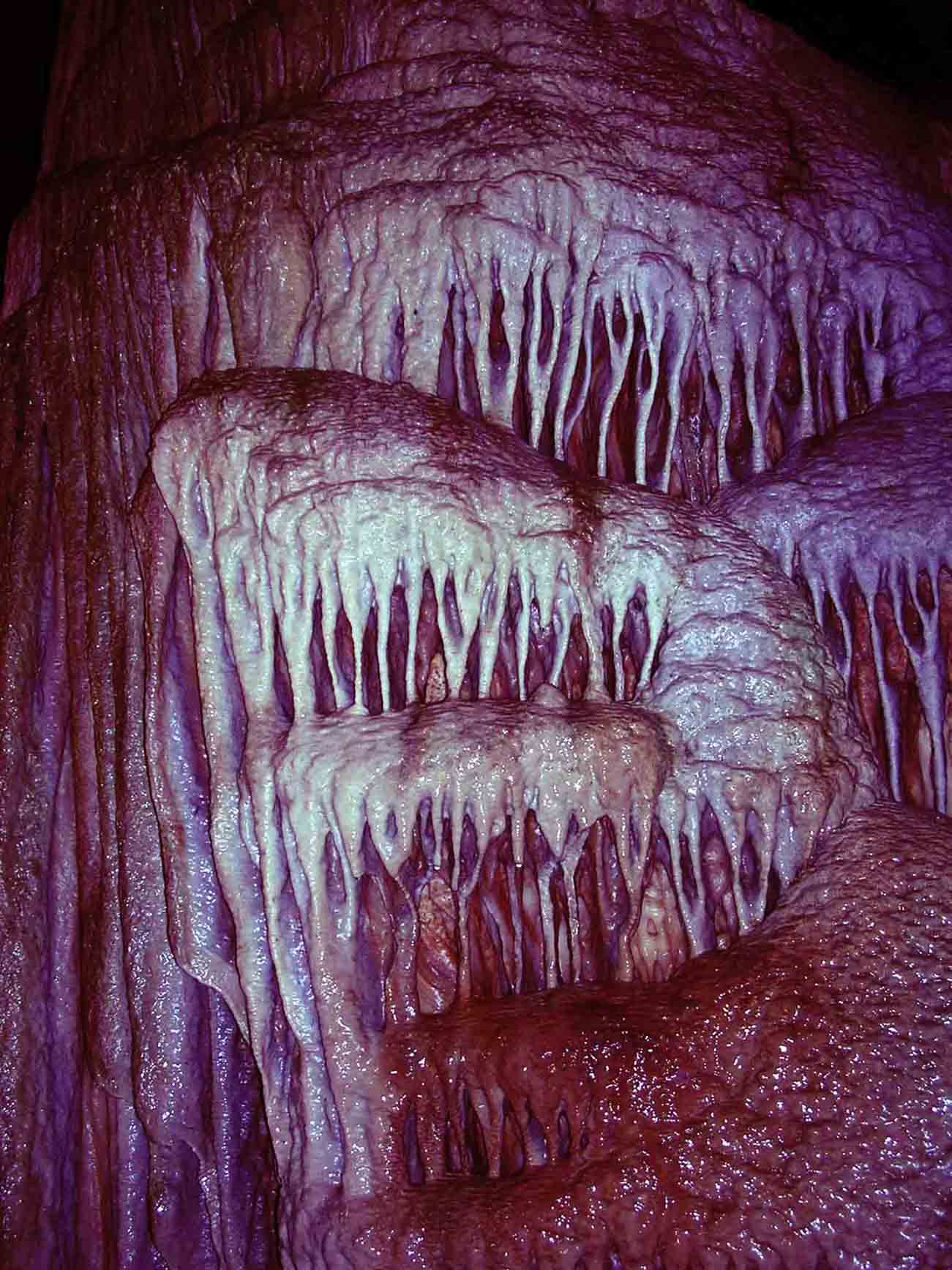 Photography by happysnake for DesignCrowd (Community Contests) | Design #9073187