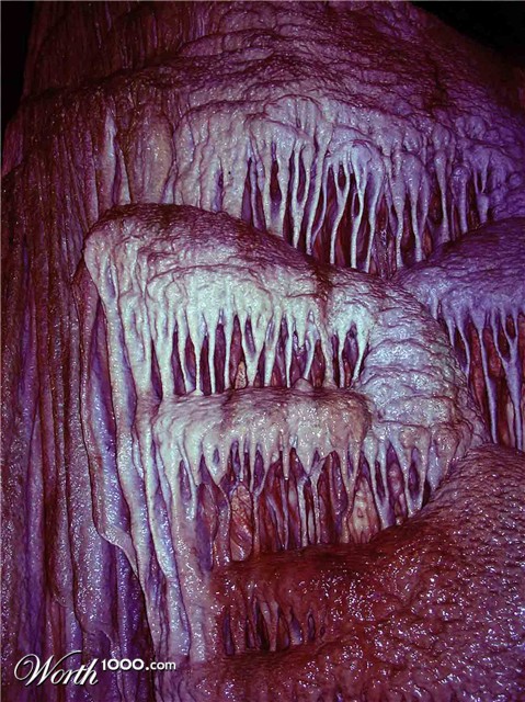 Photography by happysnake