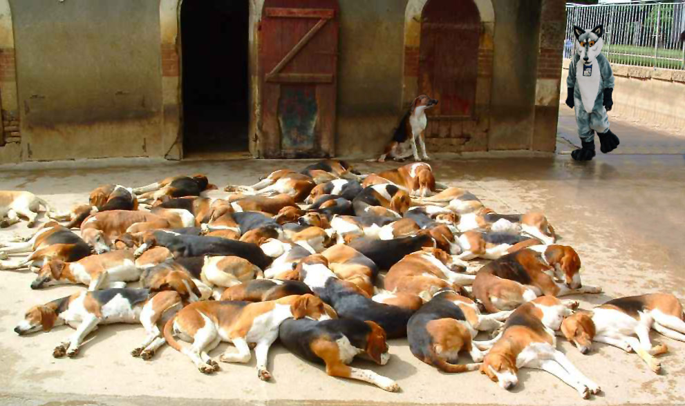 Photoshop Design by Bulbdesign for DesignCrowd (Community Contests) | Design #9070728