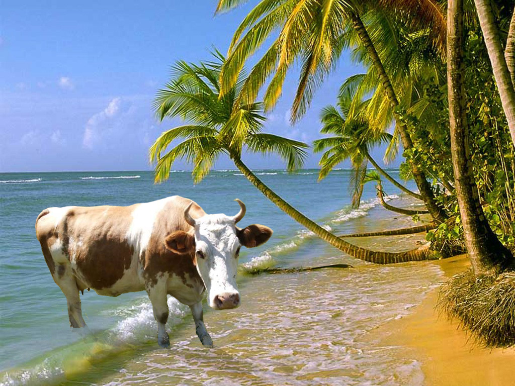 Photoshop Design by marcelreigersberg for DesignCrowd (Community Contests) | Design #9070730