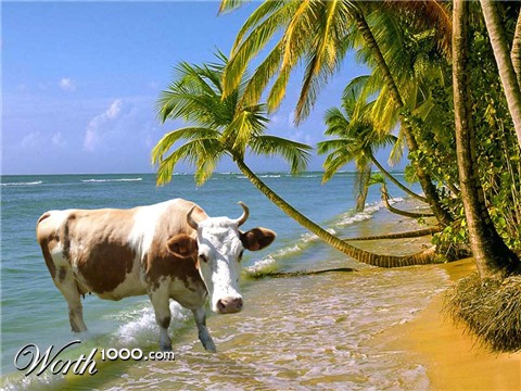 Photoshop Design by marcelreigersberg