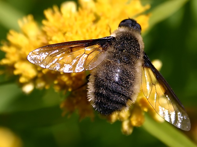 Photographie par KarenC pour DesignCrowd (Community Contests) | Design #9069007