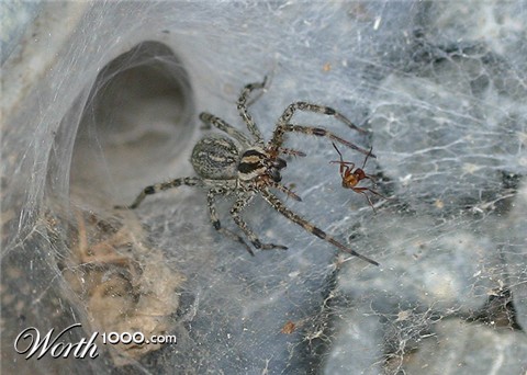 Photography by rdyamiphoto