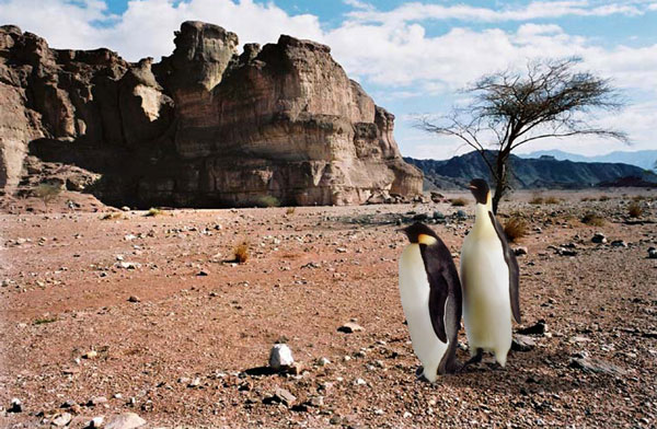 Photoshop Design by krijnvanleeuwen for DesignCrowd (Community Contests) | Design #9070741