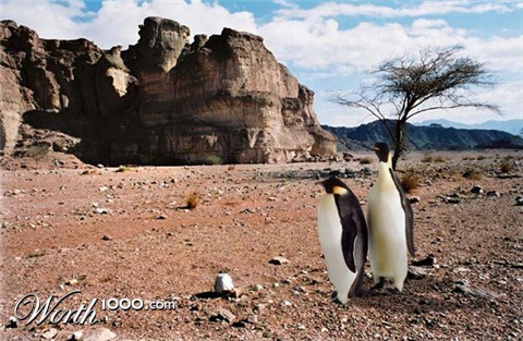 Photoshop Design by krijnvanleeuwen