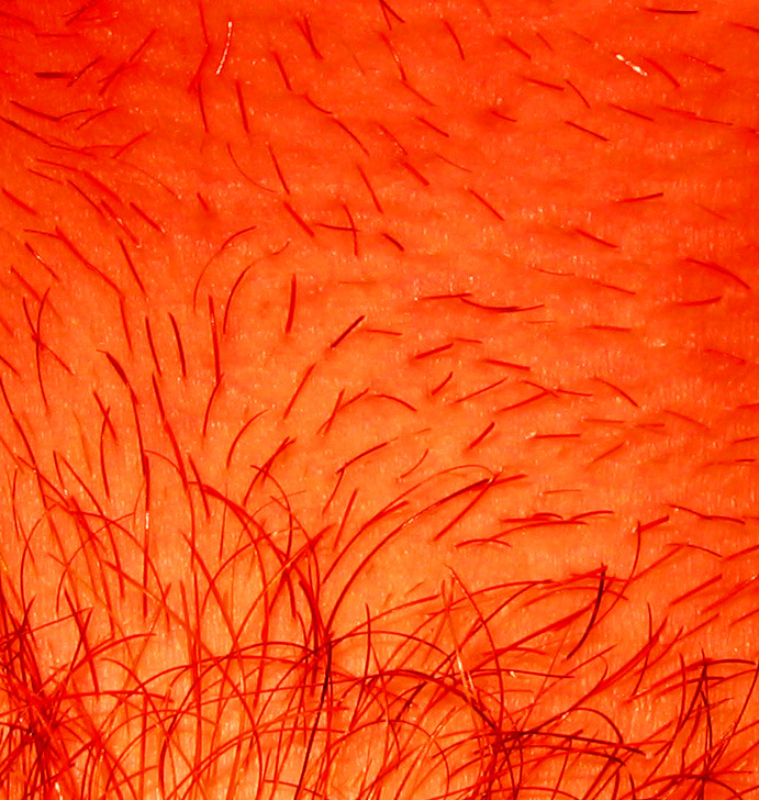 Photography by KerrazyPyRo for DesignCrowd (Community Contests) | Design #9073195