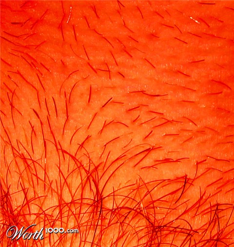 Photography by KerrazyPyRo