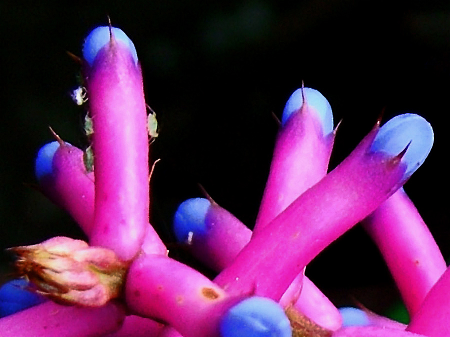 Fotografía por ozplasmic para DesignCrowd (Community Contests) | Diseño #9073194