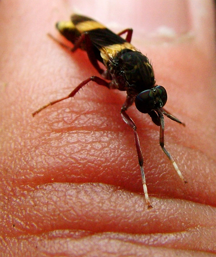 Fotografía por ozplasmic para DesignCrowd (Community Contests) | Diseño #9069023