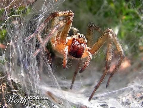 Photography by Rouwkema