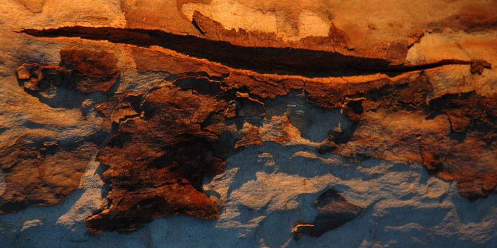 Fotografía por kimbomac para DesignCrowd (Community Contests) | Diseño #9073209