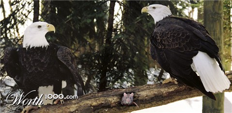 Photoshop Design by shaihalud
