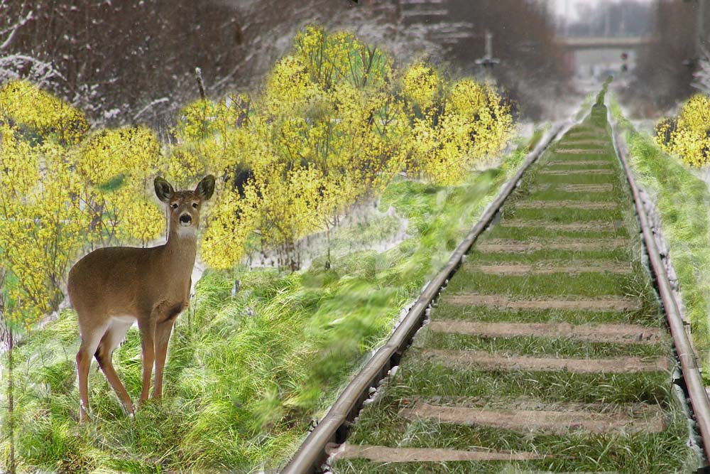 Photoshop Design by happysnake for DesignCrowd (Community Contests) | Design #9077469