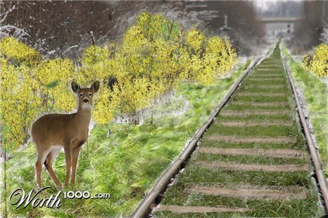 Photoshop Design by happysnake