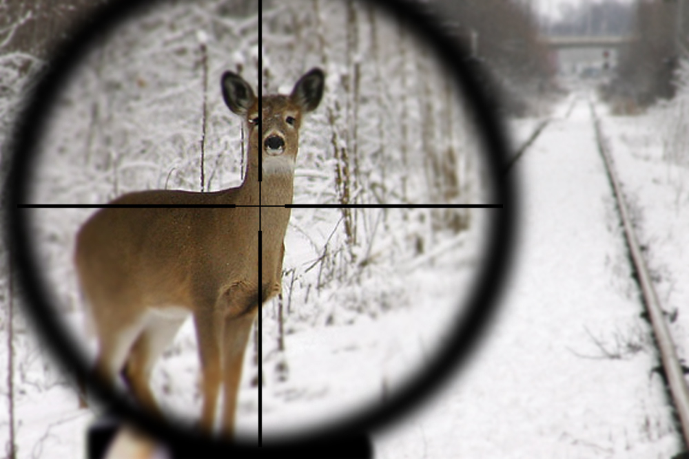 Diseño de Photoshop por Zalgren para DesignCrowd (Community Contests) | Diseño #9077486