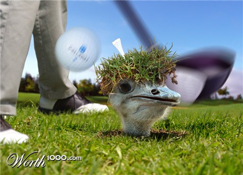 Photoshop Design by Norrit