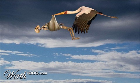 Photoshop Design by yannis
