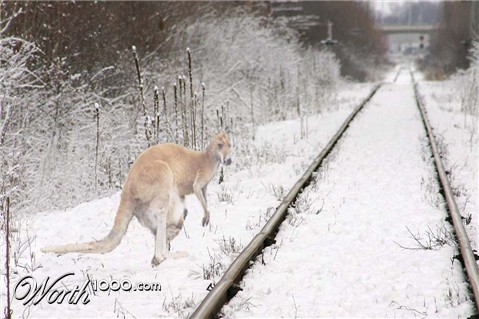 Photoshop Design by denniswitjes