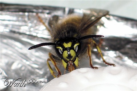 Photography by Alnath