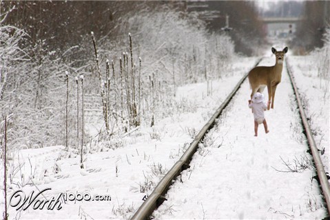Photoshop Design by loh666