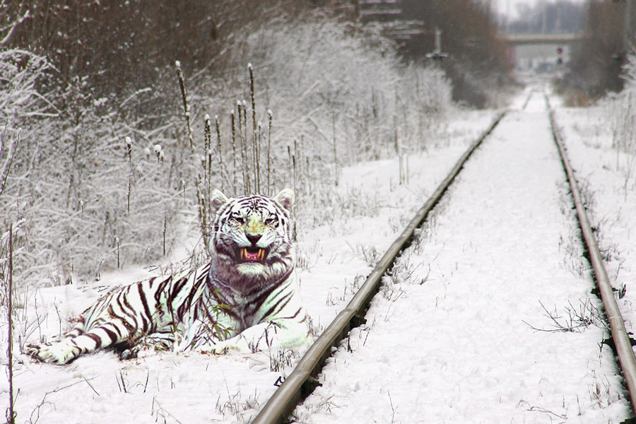 Photoshop-Design von absguft für DesignCrowd (Community Contests) | Design #9077505