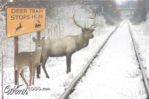 Photoshop Design by nemish