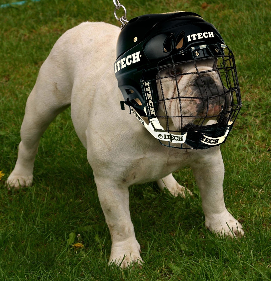 Photoshop-Design von absguft für DesignCrowd (Community Contests) | Design #9077356