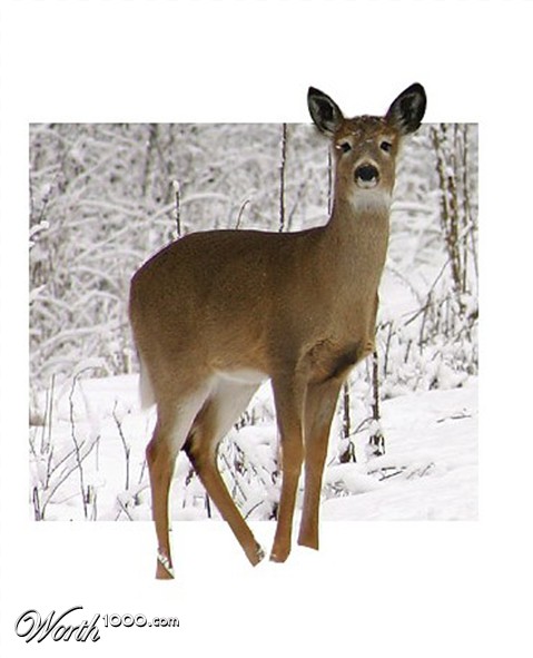 Photoshop Design by Julz1996