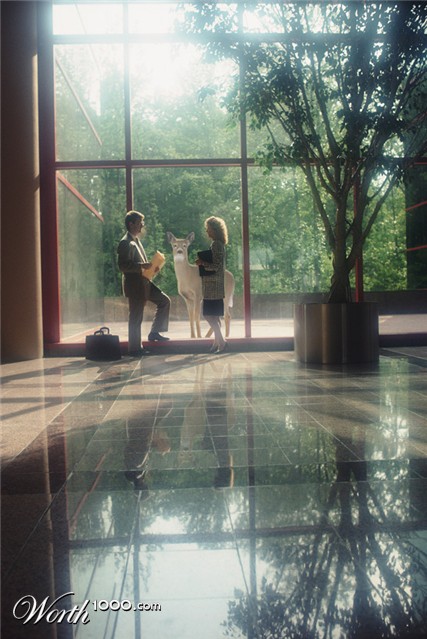 Photoshop Design by ZigZagz