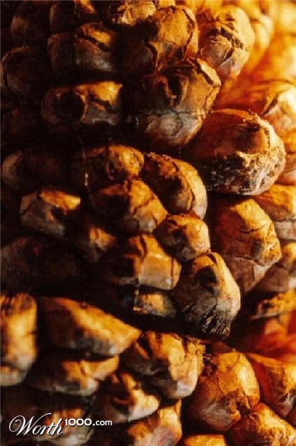 Photography by Isabella2006