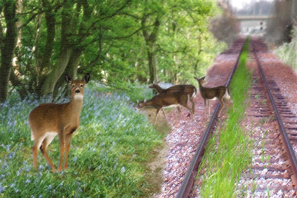 Design Photoshop par scorpio777 pour DesignCrowd (Community Contests) | Design #9077538