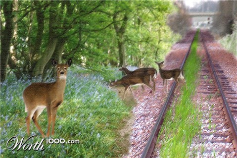 Photoshop Design by scorpio777