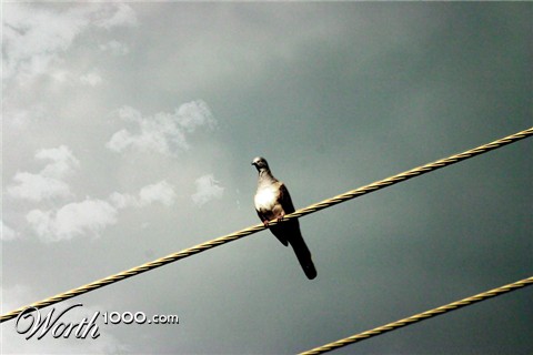 Photography by jakeclements