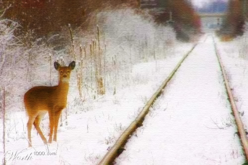 Photoshop Design by funky123 for DesignCrowd (Community Contests) | Design #9077618