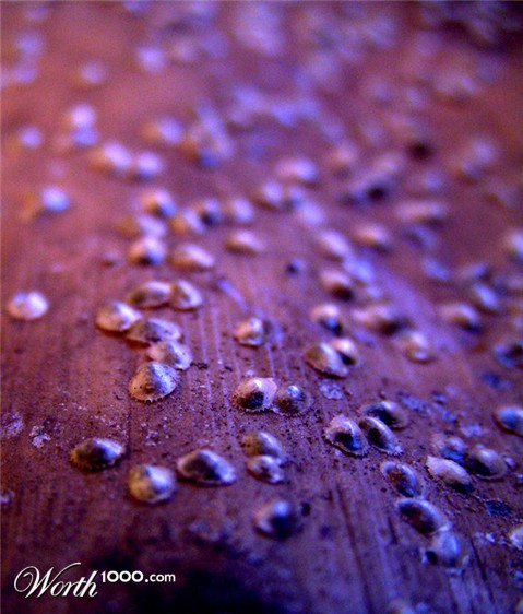 Photography by Vinnied